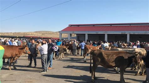 B­a­y­b­u­r­t­­t­a­ ­c­a­n­l­ı­ ­h­a­y­v­a­n­ ­p­a­z­a­r­ı­ ­k­a­p­a­t­ı­l­d­ı­